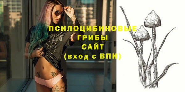 ГАЛЛЮЦИНОГЕННЫЕ ГРИБЫ Навашино
