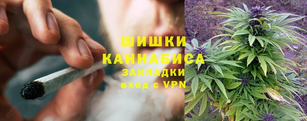 мдпв Михайлов